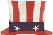 Election 2008