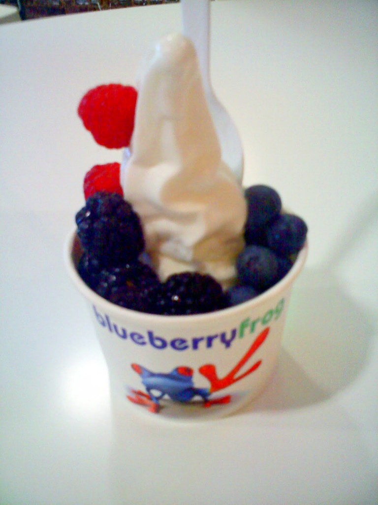 Plain frozen yogurt with mixed berries
